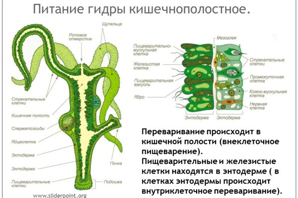 Браузер для кракен